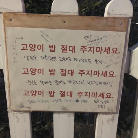 이제 우리 서로를 증오했으면 해 고맙고 사랑하고 지겨우니까 | 인스티즈