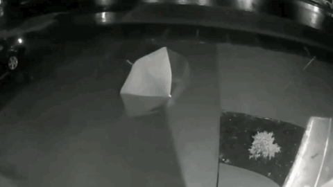 우산이 없어지는 이유.gif | 인스티즈
