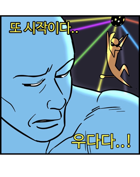 푸들의 우다다가 끝나는 시기.jpg | 인스티즈