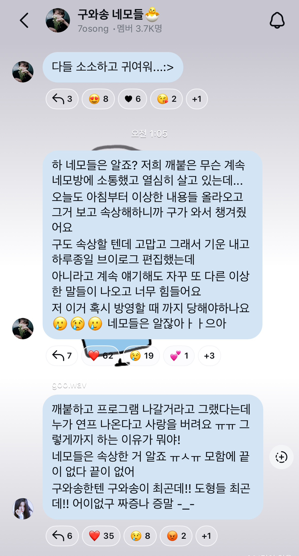 레즈 연프 출연궁예로 고통받고 있는 유튜버 조송 인스타 스토리 | 인스티즈