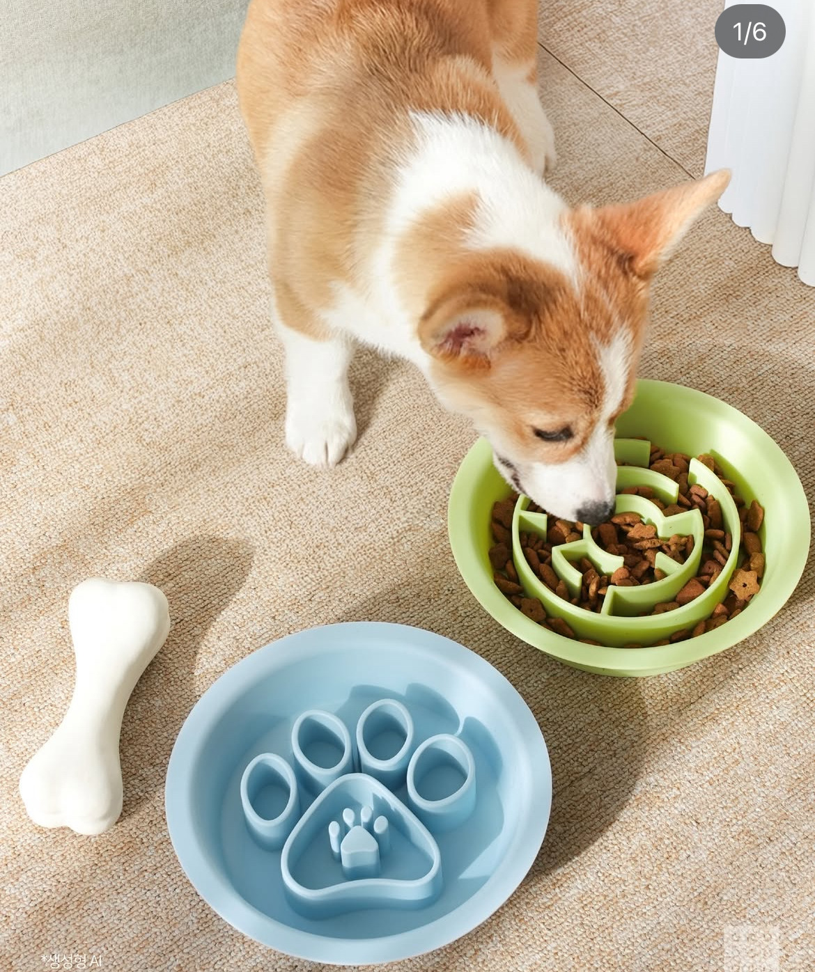 다이소 펫 용품 신상.jpg | 인스티즈