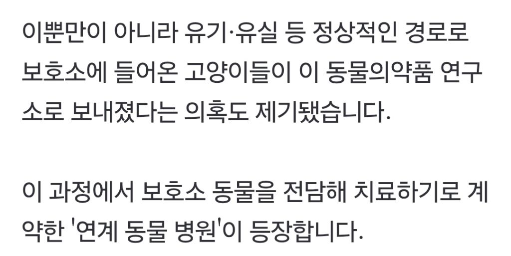 "특정 고양이만 골라갔다" 동물 보호소가 실험동물 공급처? (군산시 보호소) | 인스티즈