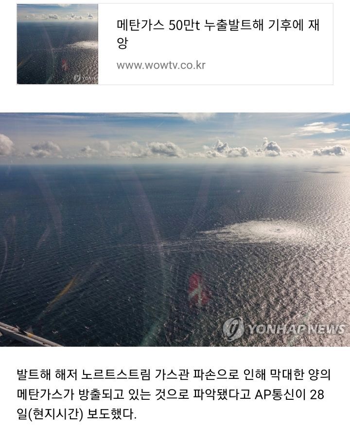 김여시만 모르는 올해 지구촌 뉴스 | 인스티즈