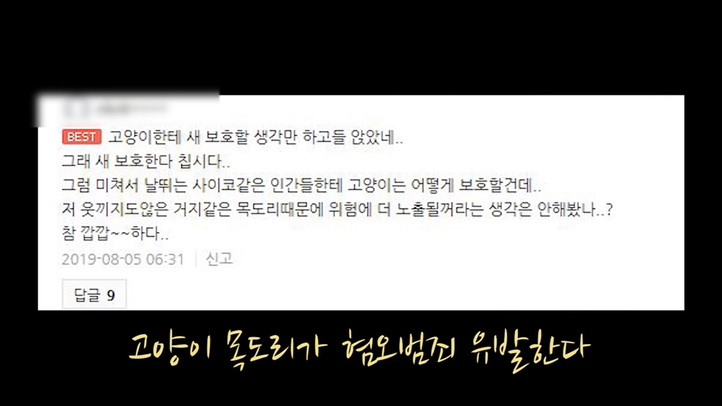 고양이가 자연생태계에 끼치는 심각한 영향(새 사체사진있음) | 인스티즈