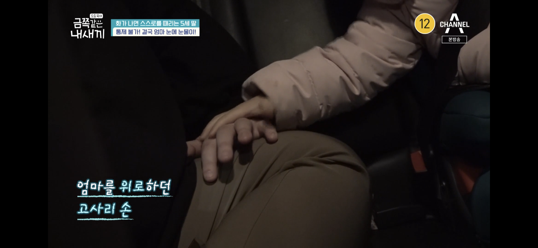 [금쪽같은내새끼] 최초로 아이가 아닌 부모가 금쪽이였던 오늘 편 | 인스티즈