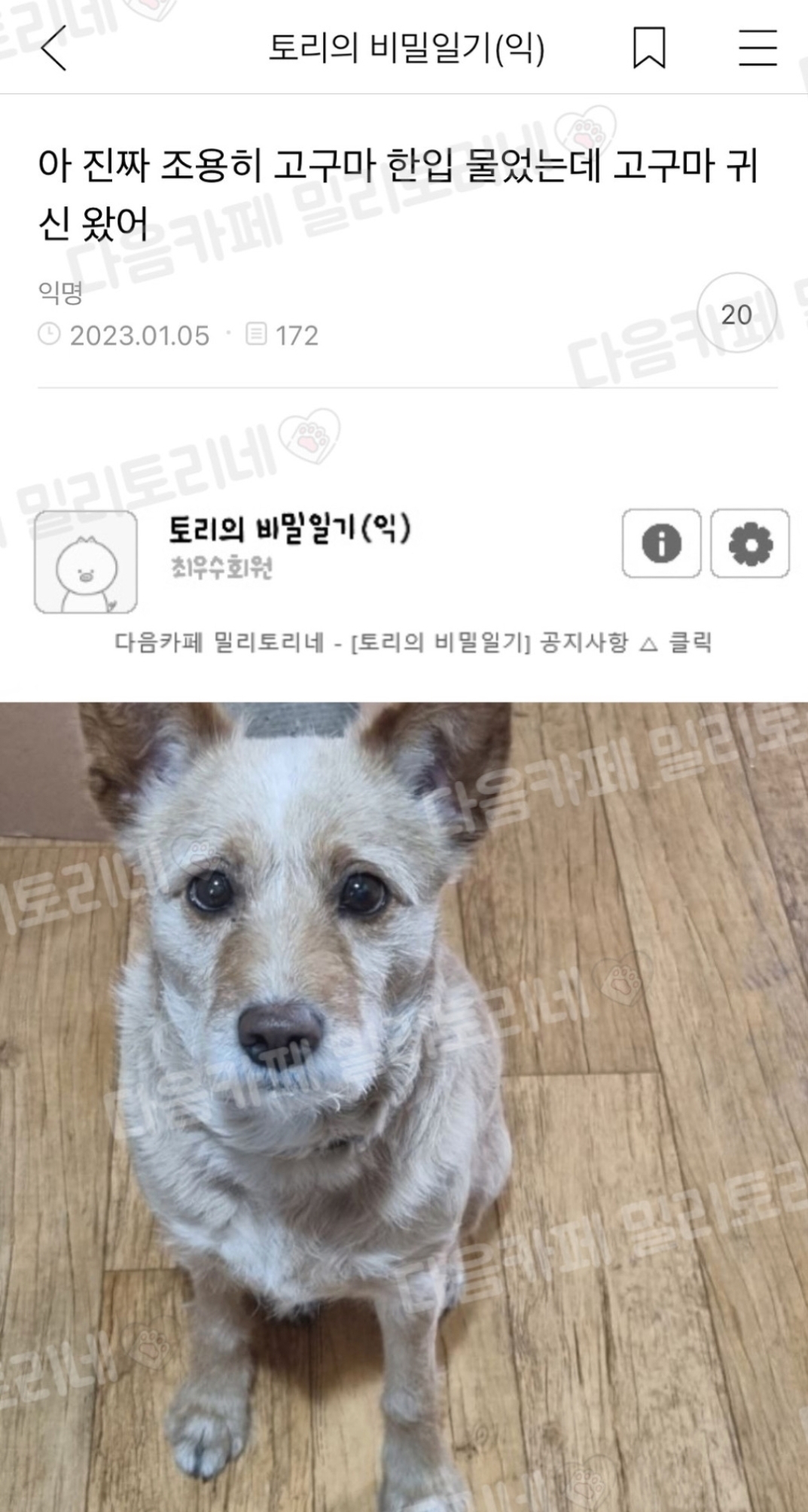 아 진짜 조용히 고구마 한입 물었는데 고구마 귀신 왔어 | 인스티즈