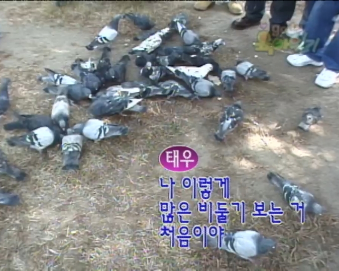 58bce0b4e39b93c171412f6303661a14098b016b