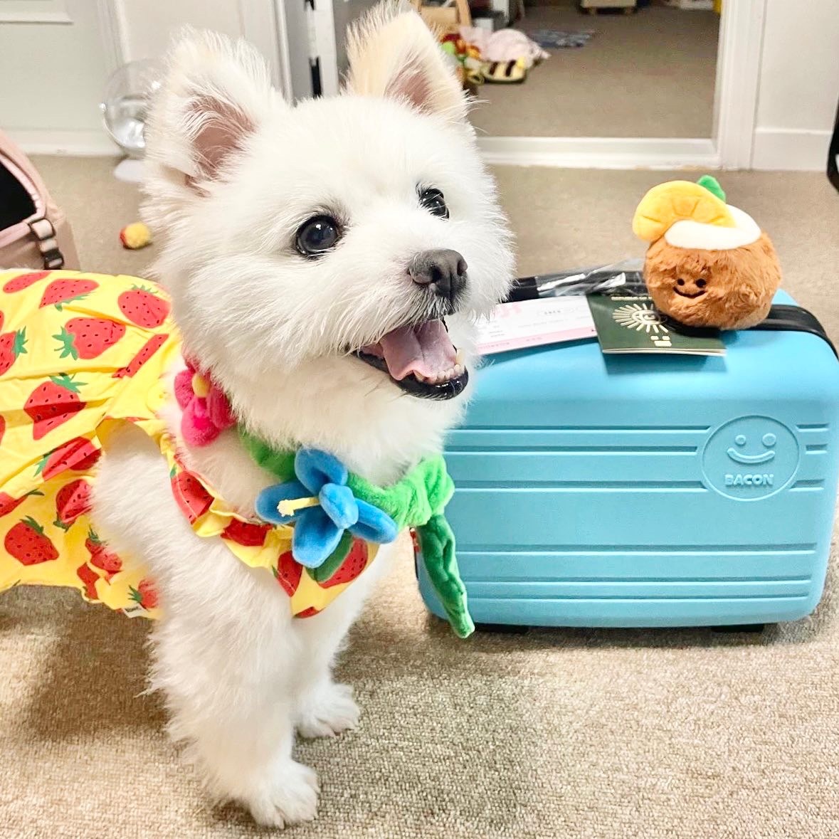 당근에서 폐점하길래 애기 옷샀는데 모자 진심이야,,,? | 인스티즈