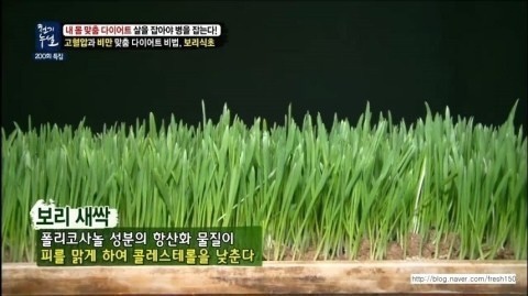 극 N의 멍 때리기 | 인스티즈