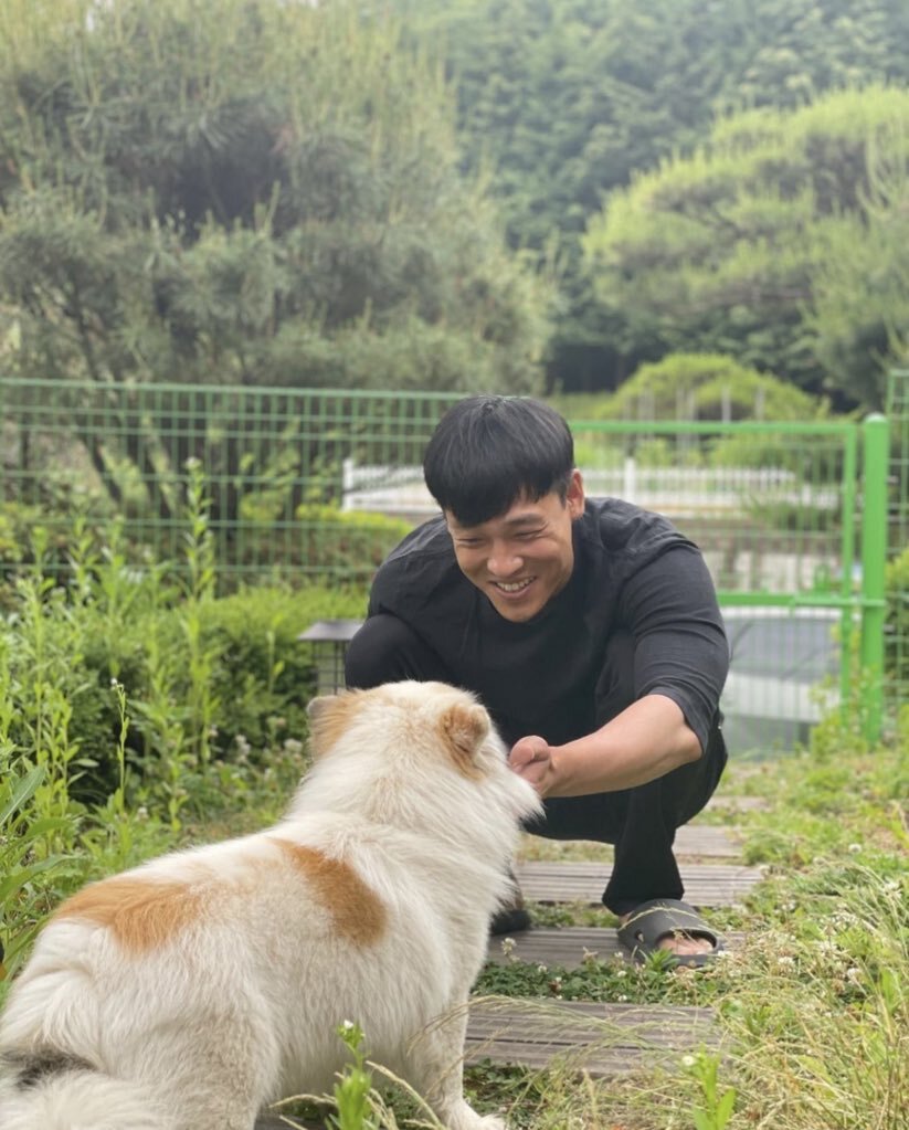 펫샵 NO! 유기견 입양한 연예인들 | 인스티즈