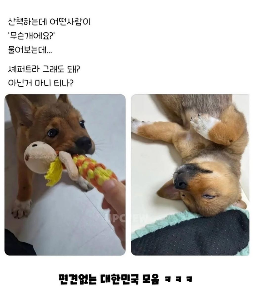 편견없는 대한민국 모음 | 인스티즈