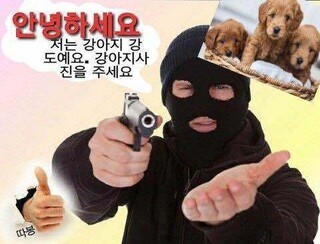 순수하게 동물을 좋아하지만 잘 모르는 사람들.twt | 인스티즈