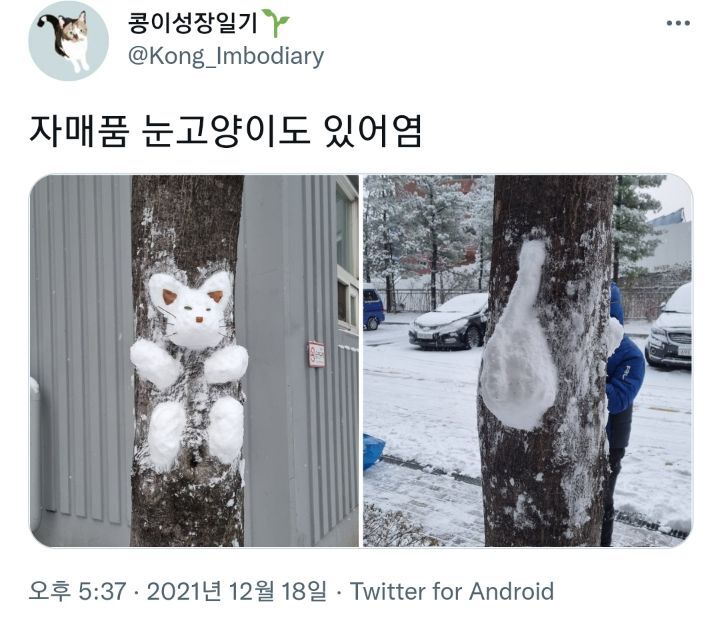 우리 언니가 만든 눈토끼 볼사람.twt | 인스티즈