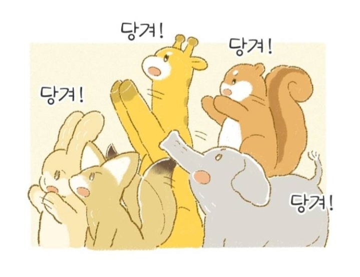 뜨개방에서 털실을 받아왔는데 실이 움직이는 것 같아요 | 인스티즈