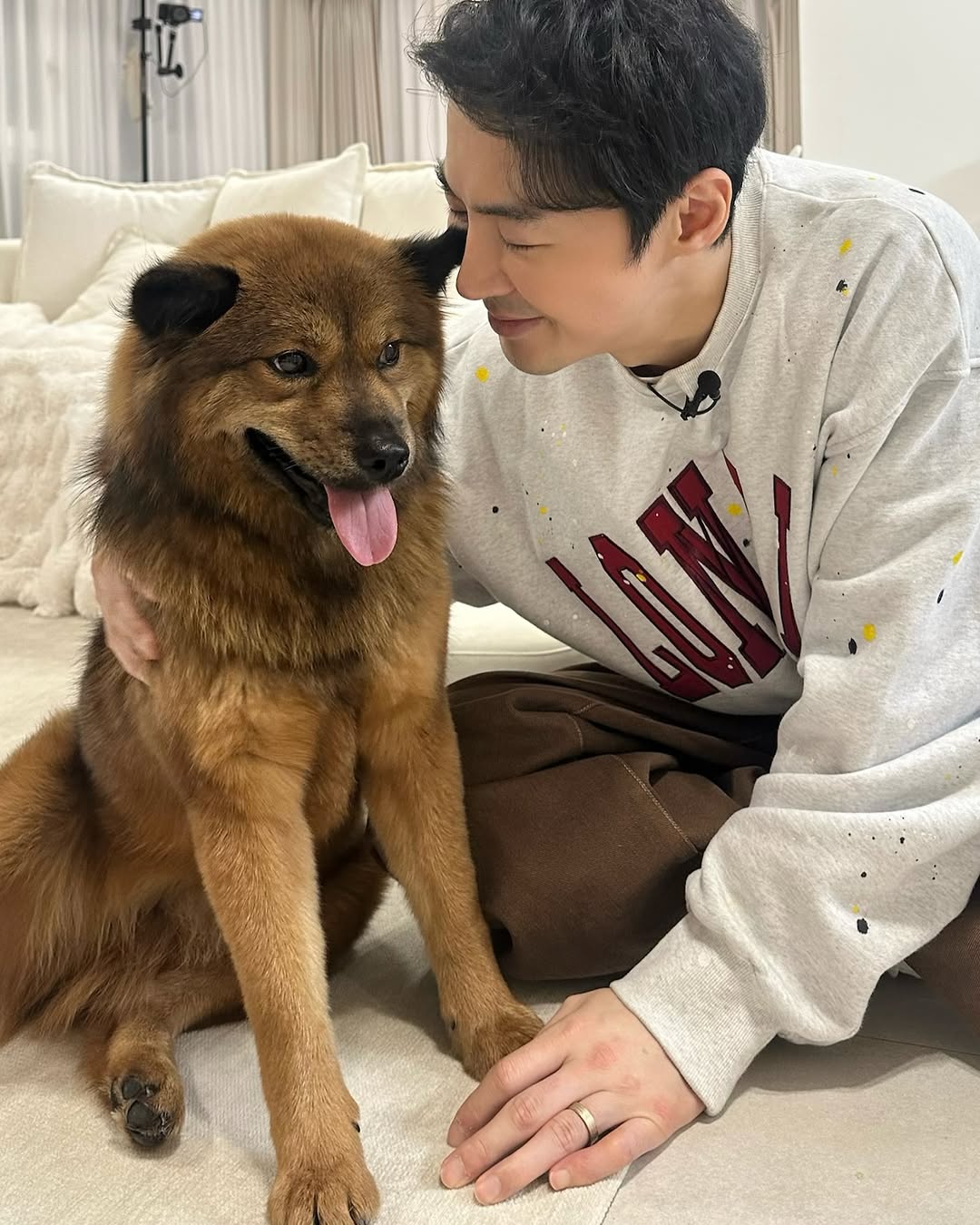 동물농장 똥개보필프로젝트에 참여중인 연예인과 임보 강아지들 | 인스티즈