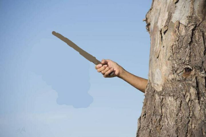 모가디슈 본 사람은 이해하는 사진.jpg | 인스티즈