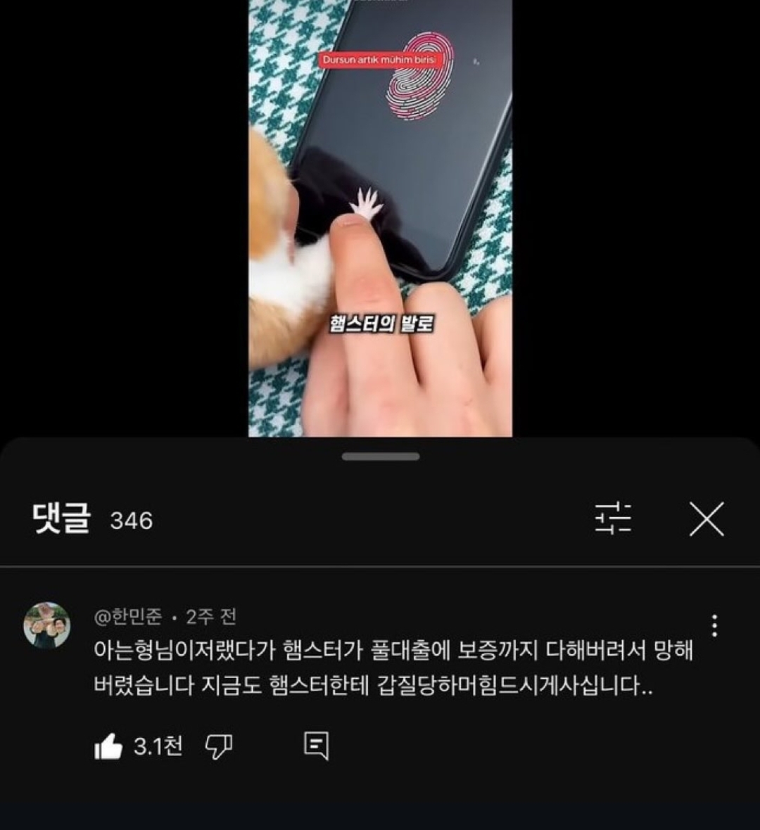 햄스터 지문인식의 위험성 | 인스티즈