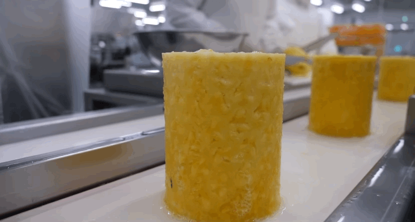 델몬트 파인애플 공장 견학🍍🤓 | 인스티즈