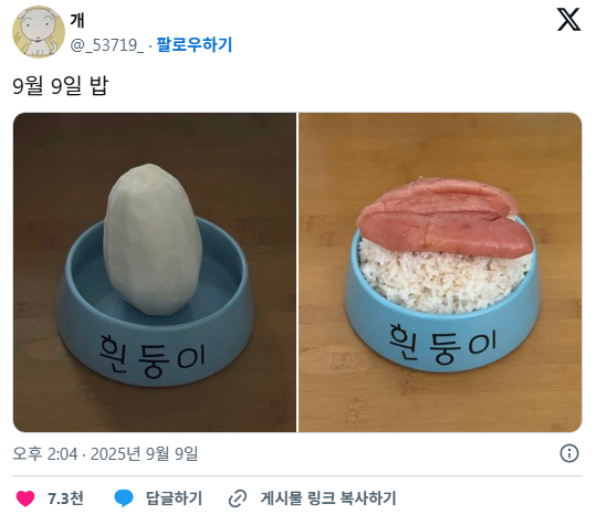 요새 트위터에서 화제 중인 식단 계정...... | 인스티즈