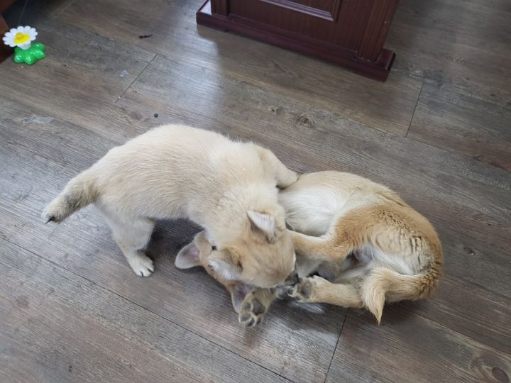 (공지라니... ++추가)새로생긴 회사 복지.. 미쳐서 도저히 일을 못하겠네.. (추가....)++추가 | 인스티즈