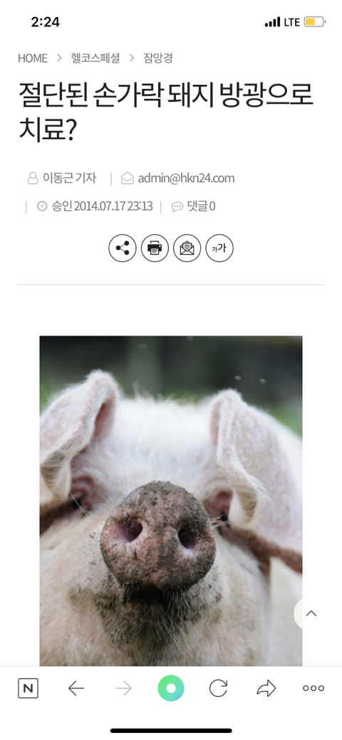 돼지방광으로 절단된 손가락 올라옴 +추가내용 | 인스티즈