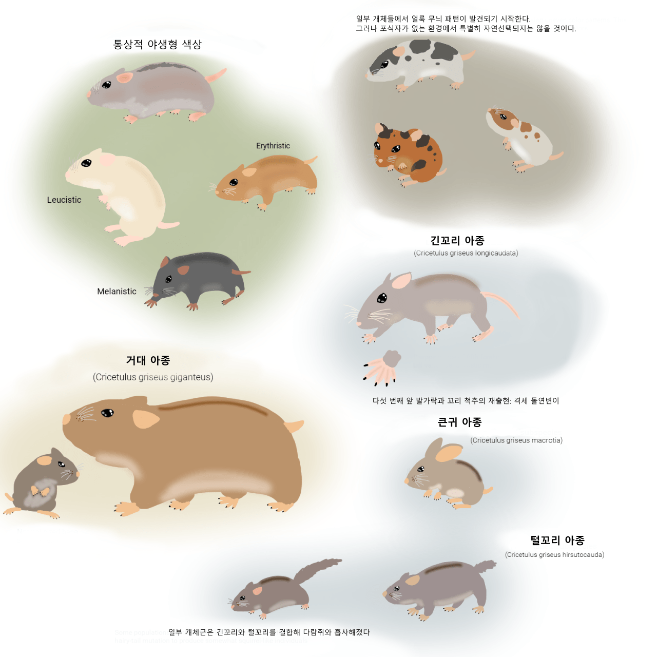 햄스터가 외계행성의 지배자가된 세계관 | 인스티즈