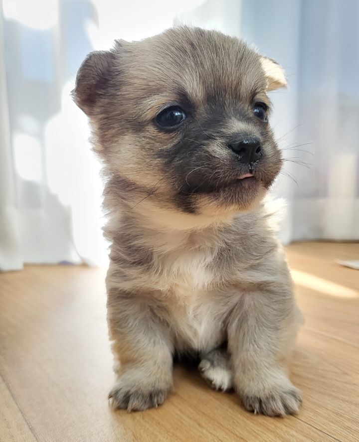 (공지라니... ++추가)새로생긴 회사 복지.. 미쳐서 도저히 일을 못하겠네.. (추가....)++추가 | 인스티즈