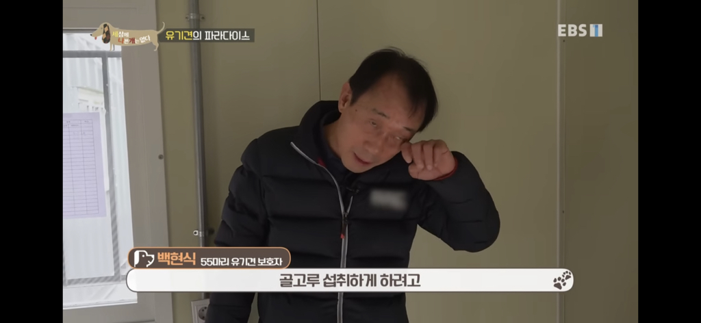 [세상에나쁜개는없다] 유기견의 파라다이스 | 인스티즈