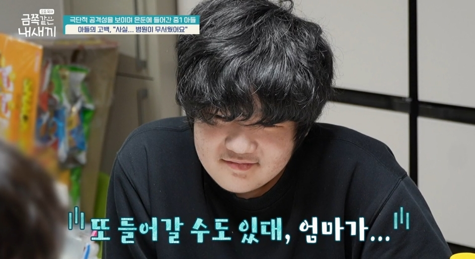 금쪽 이미지