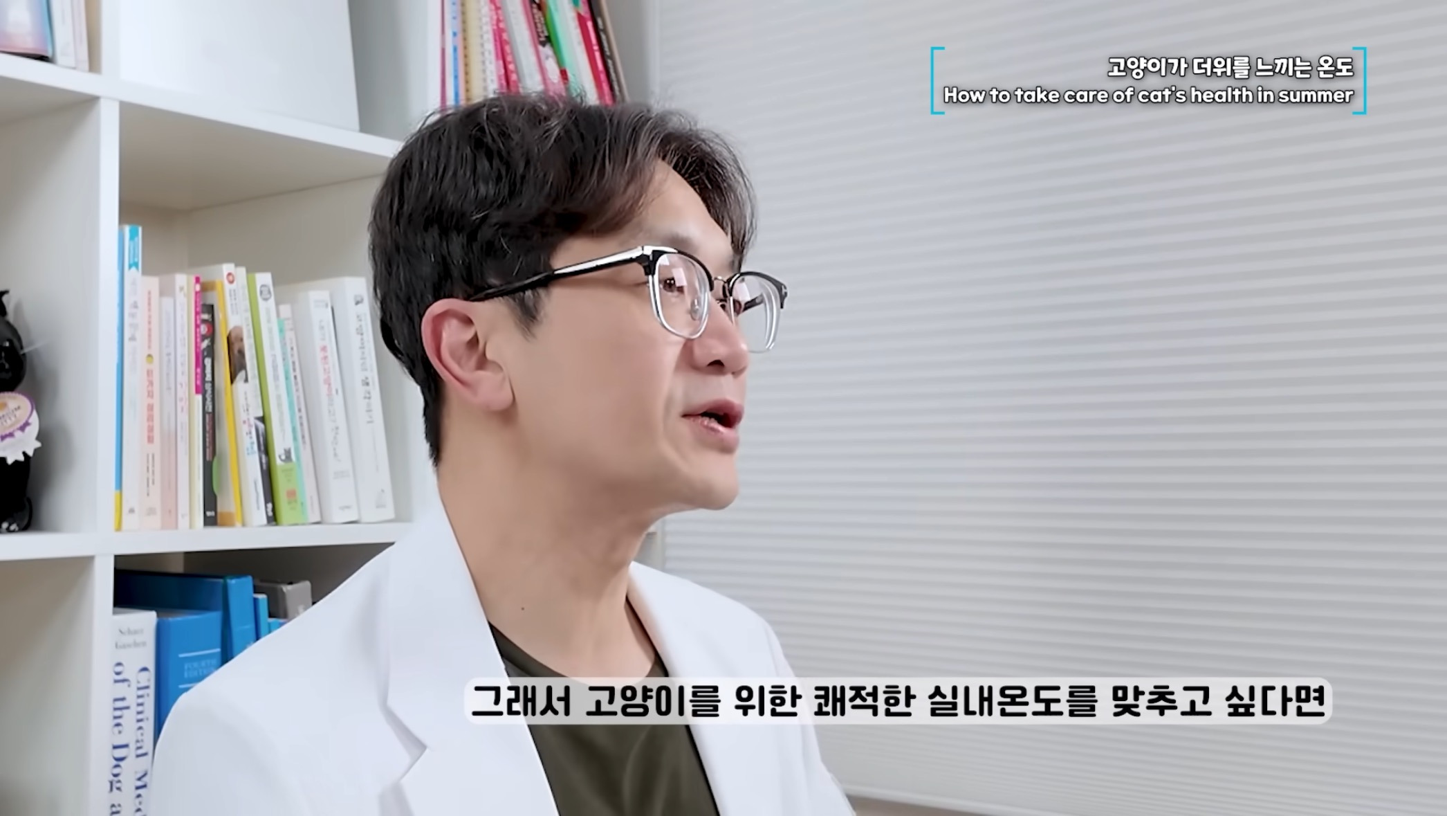 고양이가 더위를 느끼는 온도 | 인스티즈
