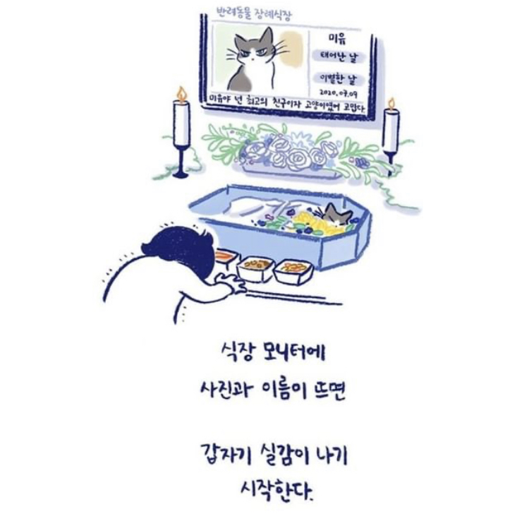 반려동물을 떠나보낸다는 것 | 인스티즈