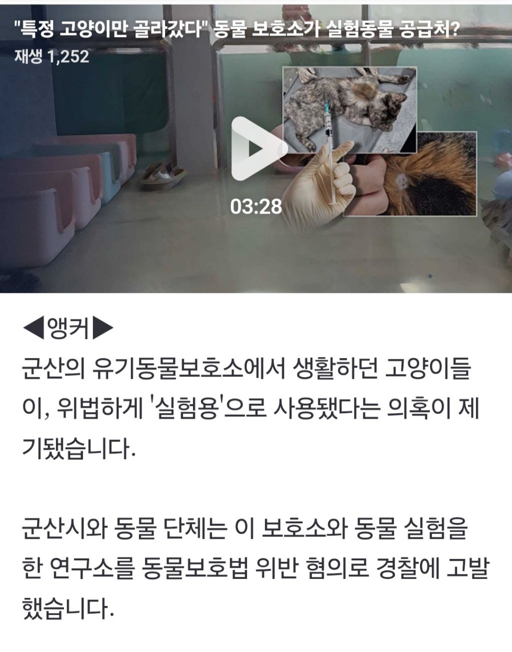 "특정 고양이만 골라갔다" 동물 보호소가 실험동물 공급처? (군산시 보호소) | 인스티즈