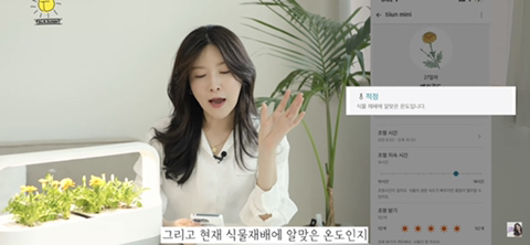 내가 사고 싶어서 찾아본 LG 틔운 미니 (가정 식물 재배기) | 인스티즈