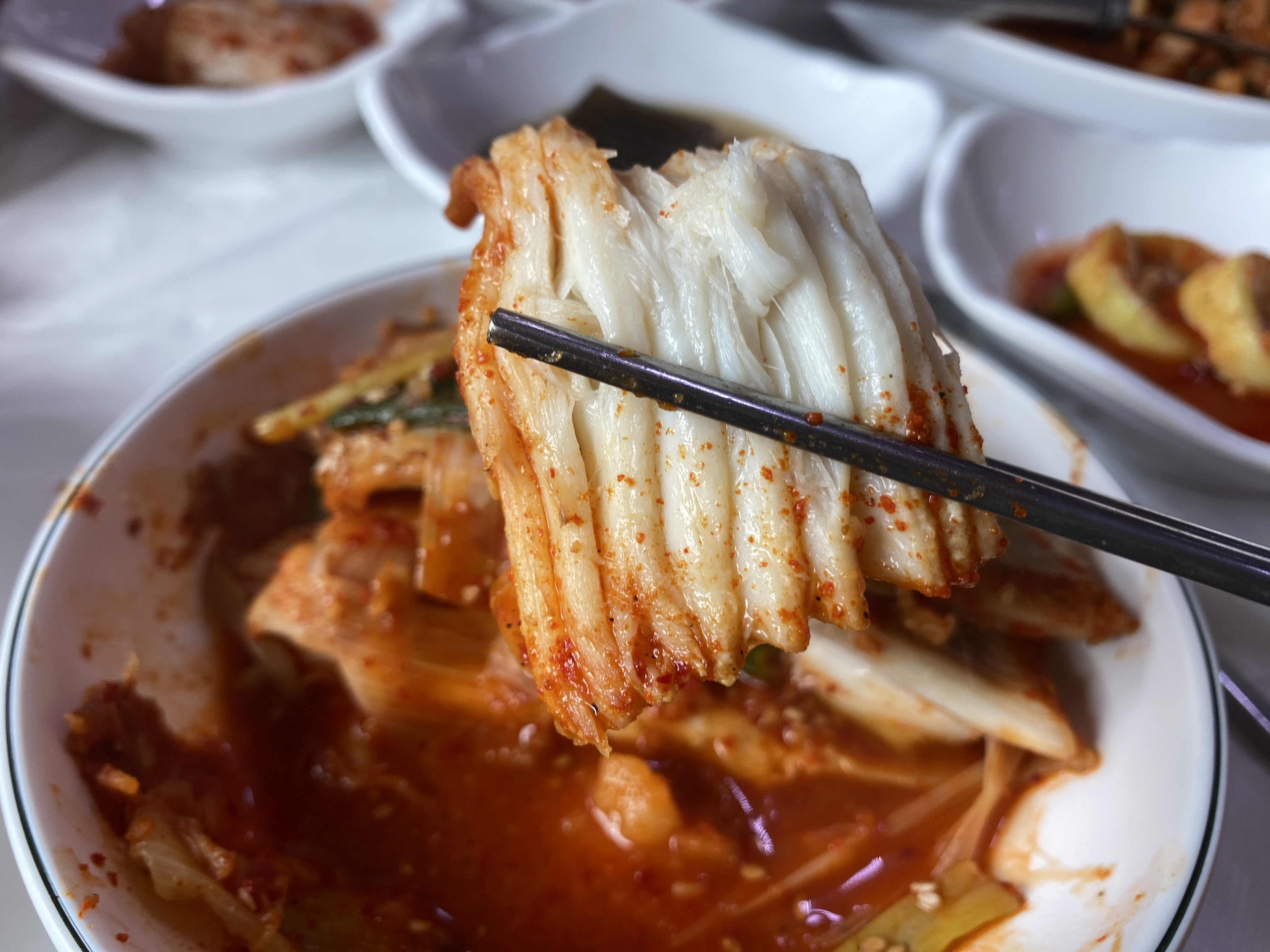 강원도 가서 먹기만 하는 강원도(속초) 쳐돌이가 먹는것들 🦑🦀🐟 | 인스티즈