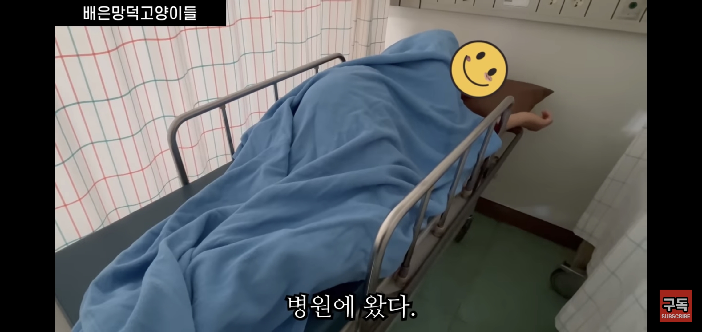 집 마당에 고양이가 나타나는 족족 다 잡아버리는 유튜버..jpg | 인스티즈