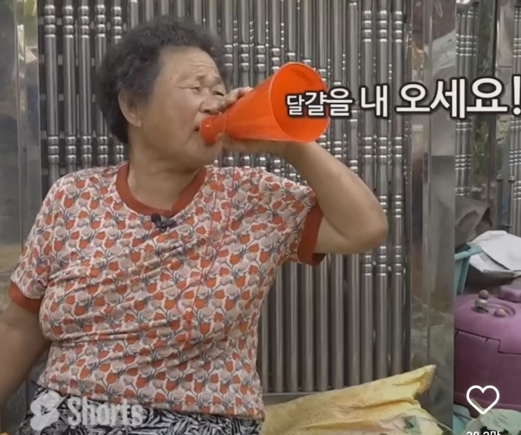 ESTJ 할머니와 INFP 할아버지ㅋㅋㅋ | 인스티즈