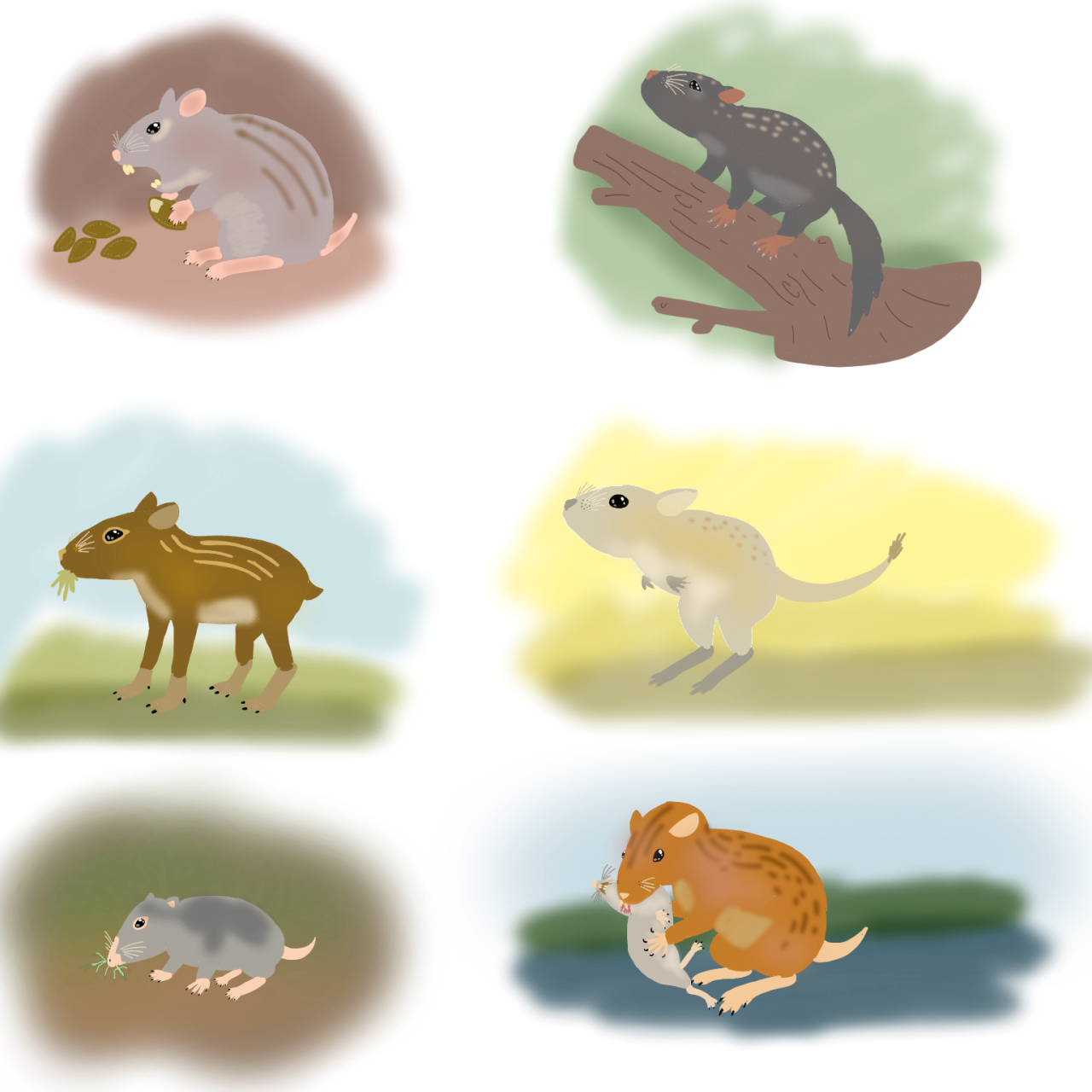 햄스터가 외계행성의 지배자가된 세계관 | 인스티즈