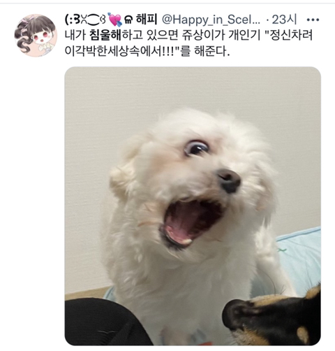 내가 침울해 하고 있으면 -가 -해준다 .twt | 인스티즈