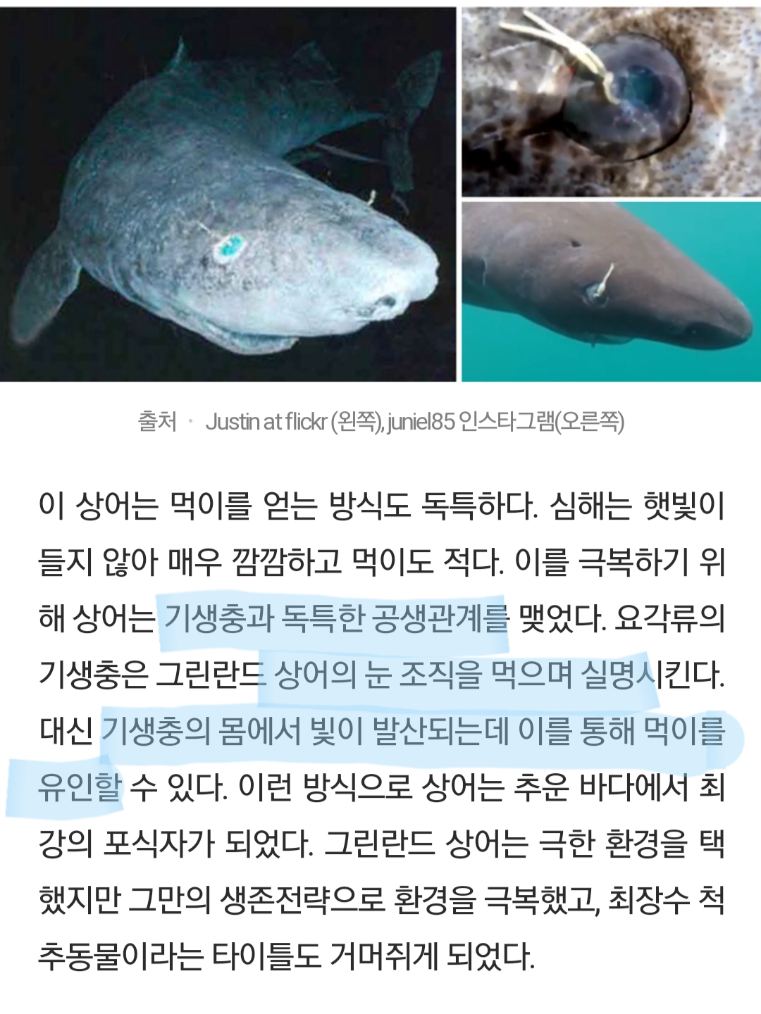 🦈 태어나고 무려 150년 지나서야 첫 짝짓기 하는 동물 | 인스티즈
