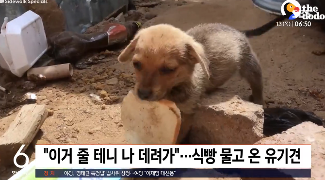 온:식빵 이미지