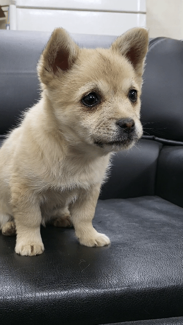 (공지라니... ++추가)새로생긴 회사 복지.. 미쳐서 도저히 일을 못하겠네.. (추가....)++추가 | 인스티즈