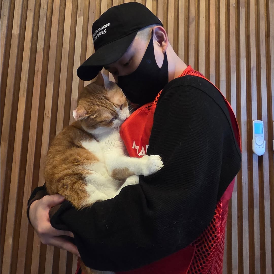 유기묘 보호소에 간식+사료 기부한 나폴리 맛피아 | 인스티즈