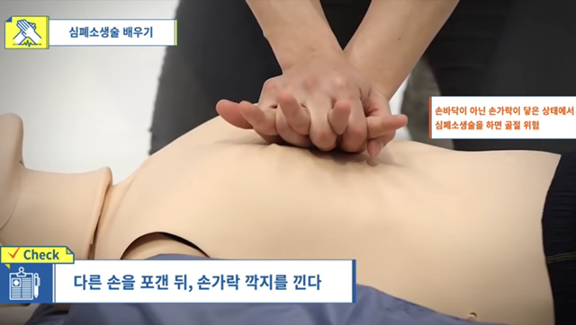 사람이 쓰러졌어요! 의식이 없어요! 우리 강아지가 쓰러져서 일어나지 않아요! 살려주세요!! | 인스티즈