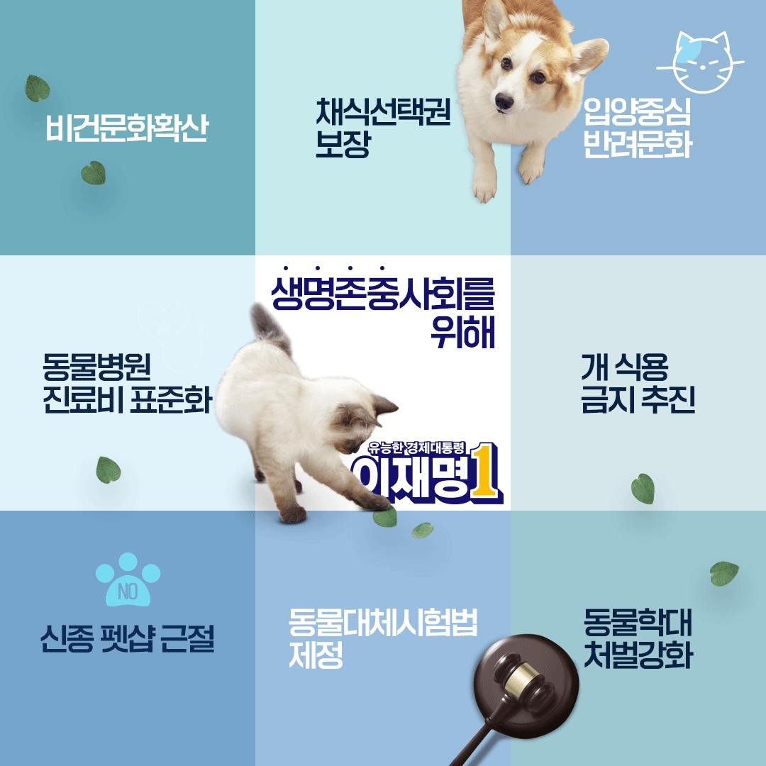 투표를 앞두고, 이재명 공약 총망라 모음ZIP (feat정치참여란 개인 팬클럽 활동이 아니다.) | 인스티즈