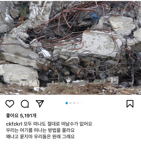 길에서 살아가는 고양이들 모습을 담은 인스타 | 인스티즈