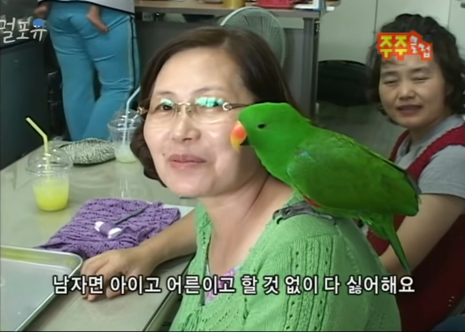 남자는 싫어하는 앵무새 제리.jpg | 인스티즈