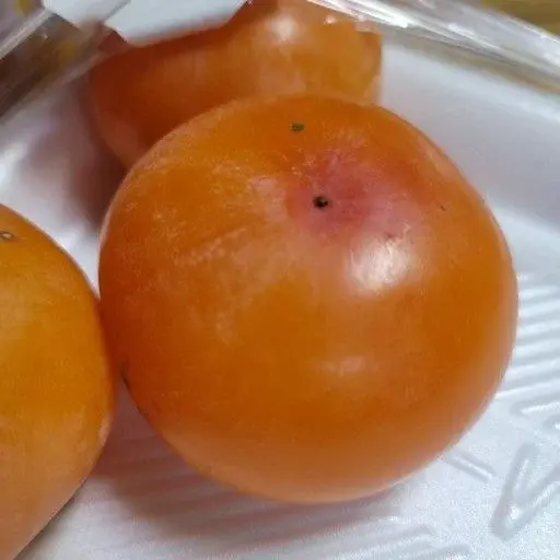 홍시 연시 좋아하는 사람들 특징.jpg | 인스티즈