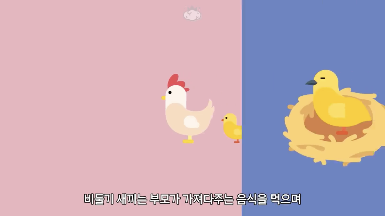 거리에 비둘기가 이렇게 많은데 왜 새끼 비둘기는 안 보일까? | 인스티즈