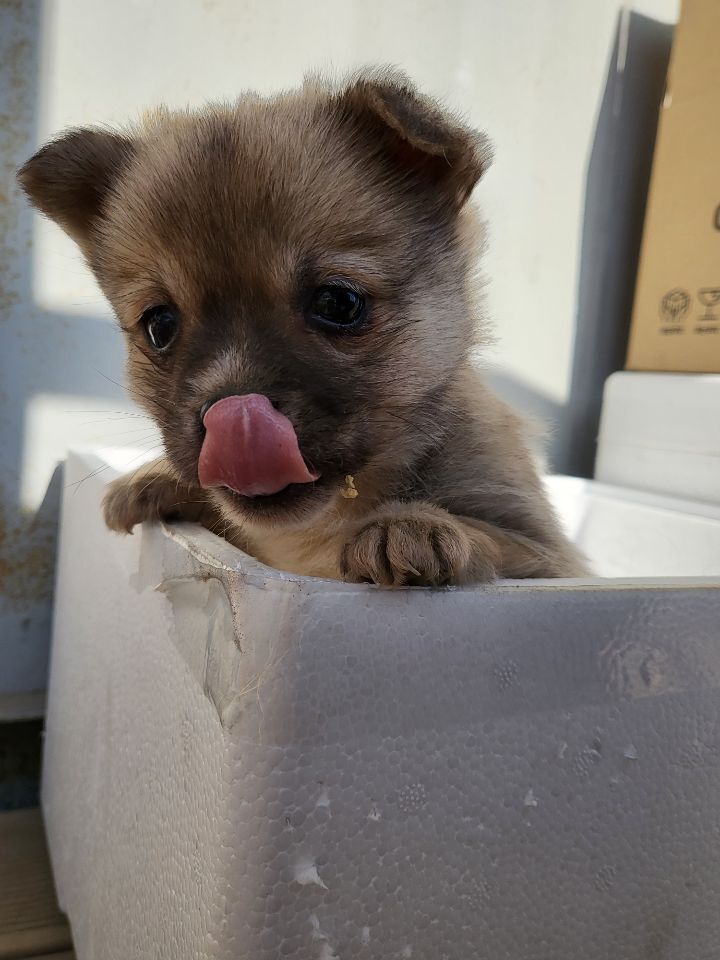 (공지라니... ++추가)새로생긴 회사 복지.. 미쳐서 도저히 일을 못하겠네.. (추가....)++추가 | 인스티즈
