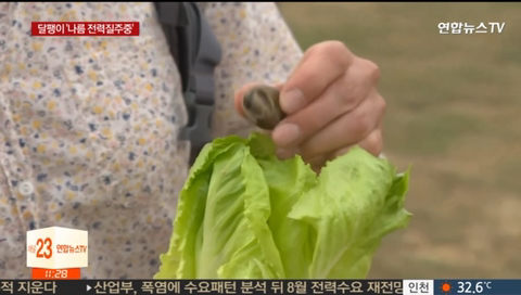 5b990282b0f90cd2839abd501e98114b9ff73fce